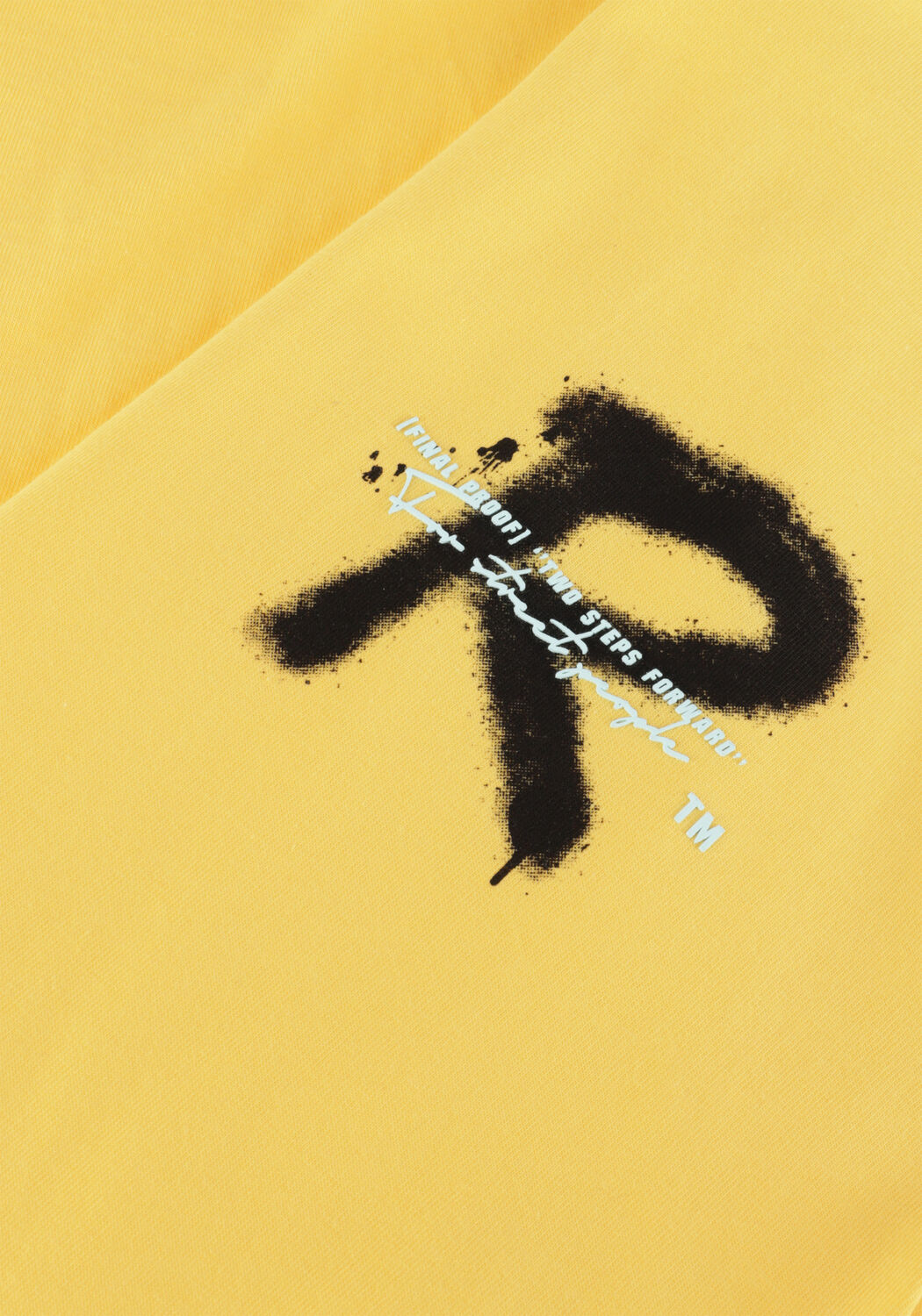 RAIZZED Jongens Polo's & T-shirts Halston Geel