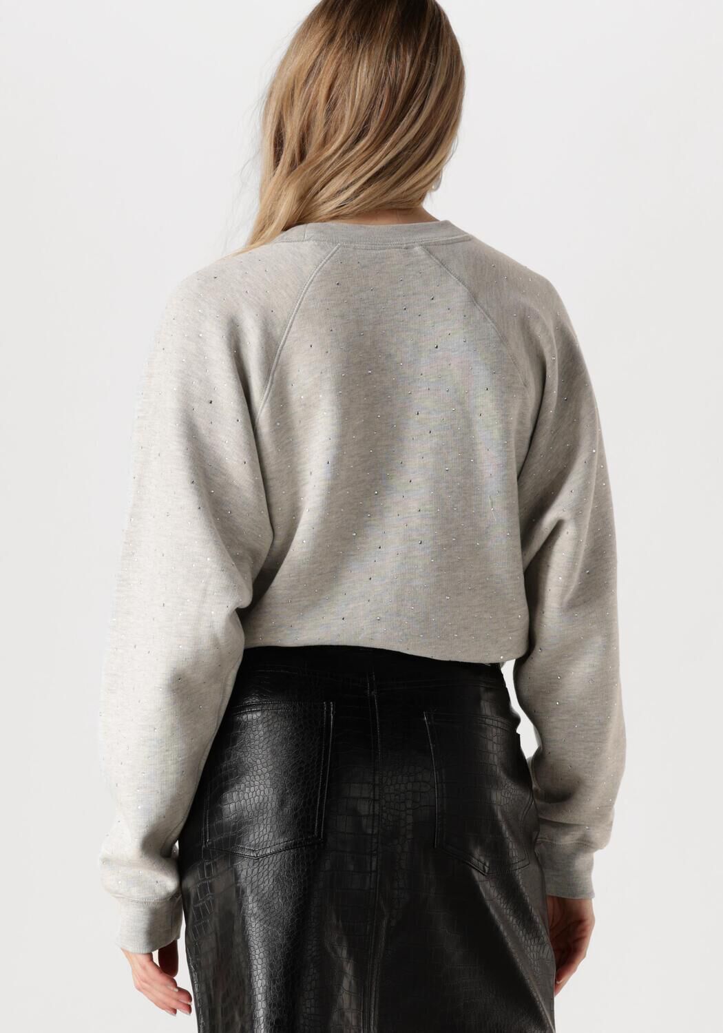 CATWALK JUNKIE Dames Truien & Vesten Relaxed Raglan Sleeve Sweater With Strass Grijs