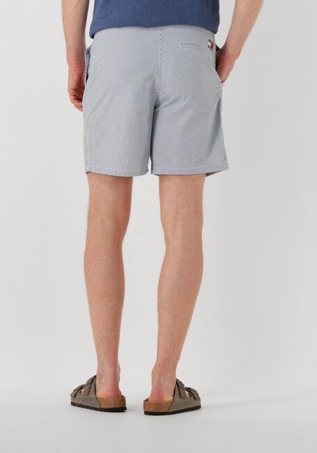 Lichtblauwe TOMMY JEANS Korte broek TJM SEERSUCKER STP BEACH SHORT - large