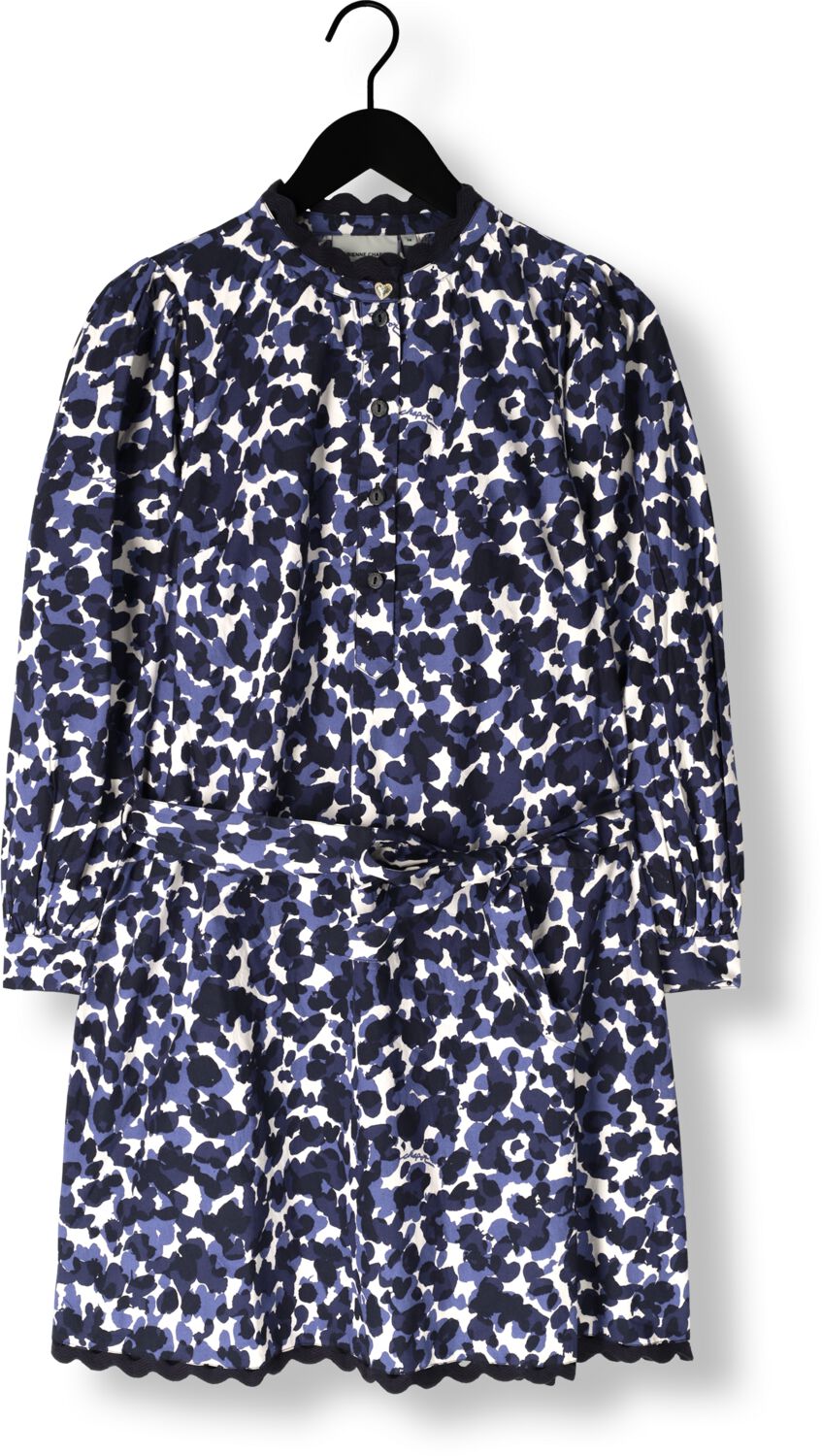 FABIENNE CHAPOT Dames Jurken Diaz Dress Multi