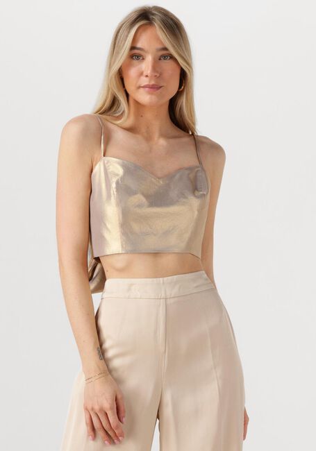 Gouden ACCESS Top 53-2021-922 - large