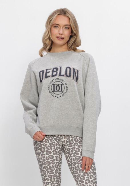 Grijze DEBLON SPORTS Sweater VIVE SWEATER - large