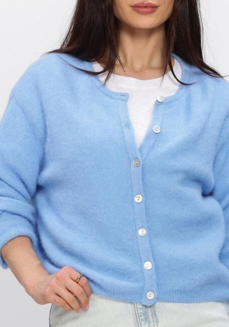 Blauwe AMERICAN VINTAGE Trui VITOW - large