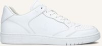 Witte POLO RALPH LAUREN Hoge sneakers POLO CRT LUX - medium