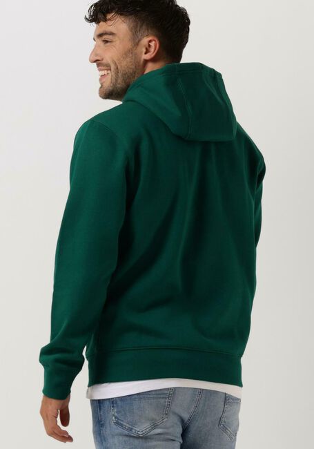 Donkergroene TOMMY JEANS Sweater TJM REGULAR FLEECE HOODIE - large