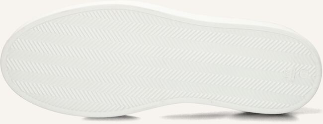 Beige STEFANO LAURAN Lage sneakers LJ2502 Beige STEFANO LAURAN Lage sneakers LJ2502 - large