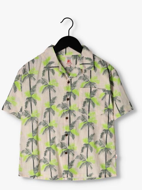 Groene AO76 Casual overhemd HAWAIIAN PALMS SHIRT - large