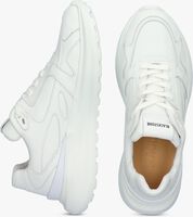 Witte BLACKSTONE Lage sneakers MADISON - medium