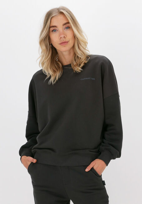 Antraciet COLOURFUL REBEL Sweater UNI DROPPED SHOULDER SWEAT - large