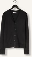 SELECTED MEN SLHTRAY LS MERINO CHUNKY V-NECK CARDIGAN SELECTED MEN SLHTRAY LS MERINO CHUNKY V-NECK CARDIGAN - medium