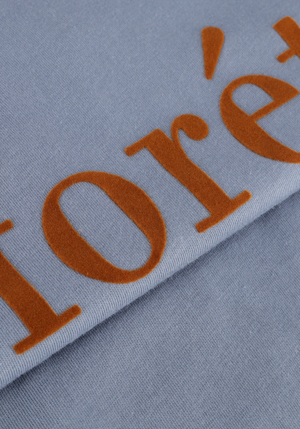 Blauwe FOR&Eacute;T T-shirt RESIN T-SHIRT - large