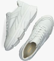 Witte NOTRE-V Lage sneakers 01 608 - medium