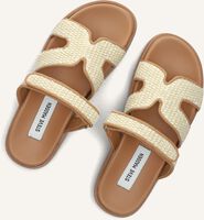 Bruine STEVE MADDEN Slippers MISSILE Bruine STEVE MADDEN Slippers MISSILE - medium