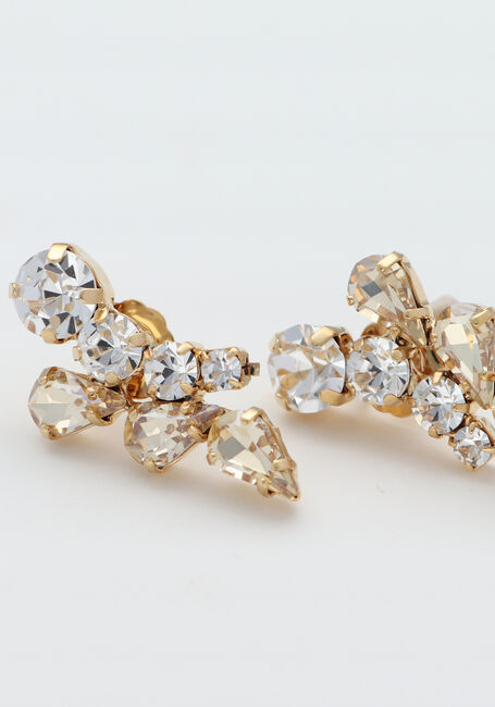 Gouden LOTT. GIOIELLI Oorbellen CE SW EARPIN TWO ROWS - large