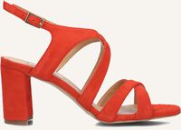 Rode NOTRE-V Sandalen met hak 22552 Rode NOTRE-V Sandalen met hak 22552 - medium