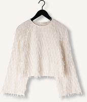 STUDIO AMAYA FLO STUDIO AMAYA FLO - medium