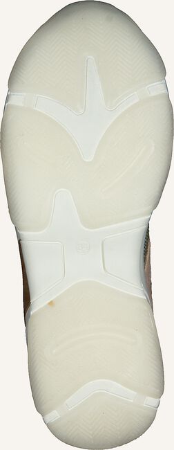 Gouden TON & TON Lage sneakers TINA 2 Gouden TON & TON Lage sneakers TINA 2 - large