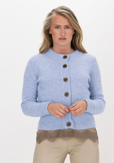 Lichtblauwe SELECTED WOMEN Vest SLFSIA LS KNIT CARDIGAN B - large