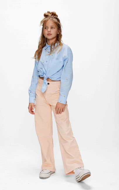 Lichtblauwe RETOUR Blouses PATTY - large