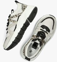 Witte WYSH Lage sneakers CAROCEL - medium