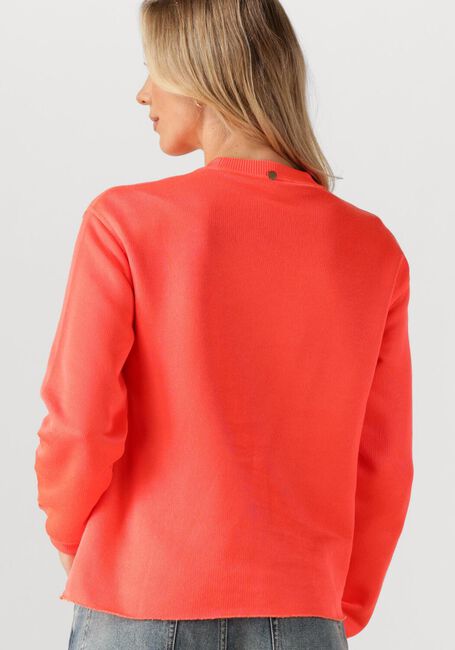 Oranje CIRCLE OF TRUST Trui FLORA SWEAT - large