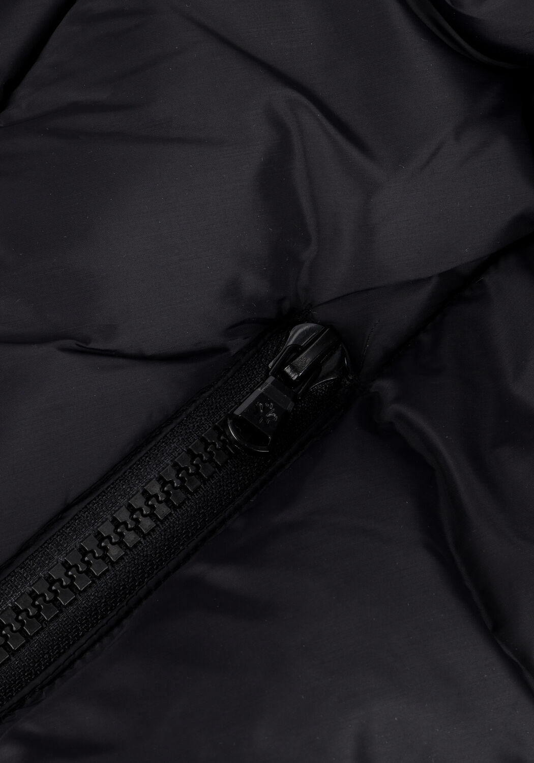 Zwarte CANADIAN Gewatteerde jas EUGENIE SHORT RECYCLED - large