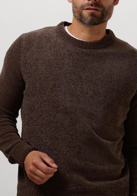 Bruine ANERKJENDT Trui AKSUNE CHENILLE KNIT - large