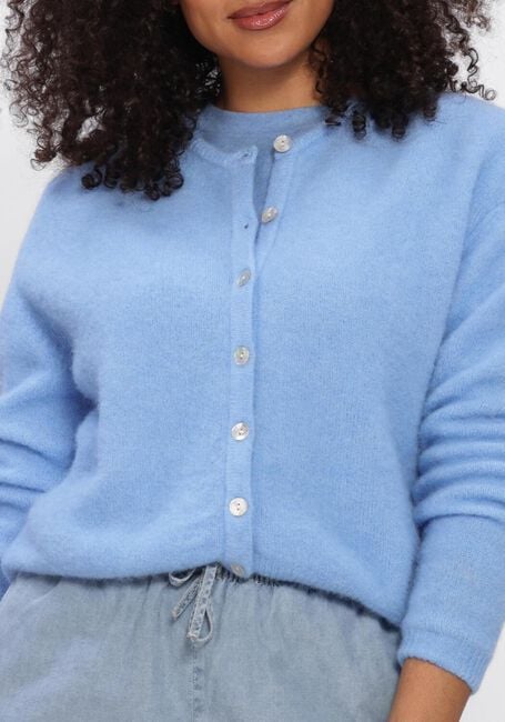 Blauwe AMERICAN VINTAGE Spencer YPAWOOD - large