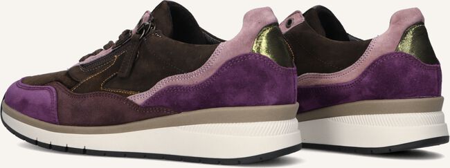 Bruine GABOR Lage sneakers 306 Bruine GABOR Lage sneakers 306 - large