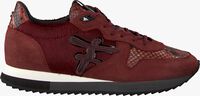 Rode FLORIS VAN BOMMEL Lage sneakers 85256 - medium