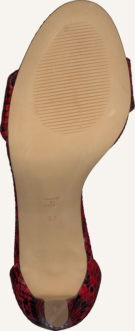 Rode NOTRE-V Platte sandalen 17242\RIV Rode NOTRE-V Platte sandalen 17242\RIV - large