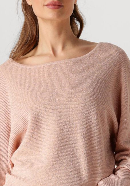 Roze NUKUS Trui BATWING PULLOVER LUREX - large