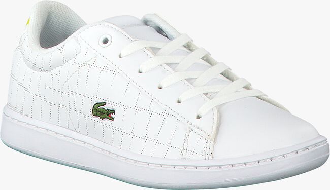Witte LACOSTE Lage sneakers CARNABY EVO 118 1 SPC - large