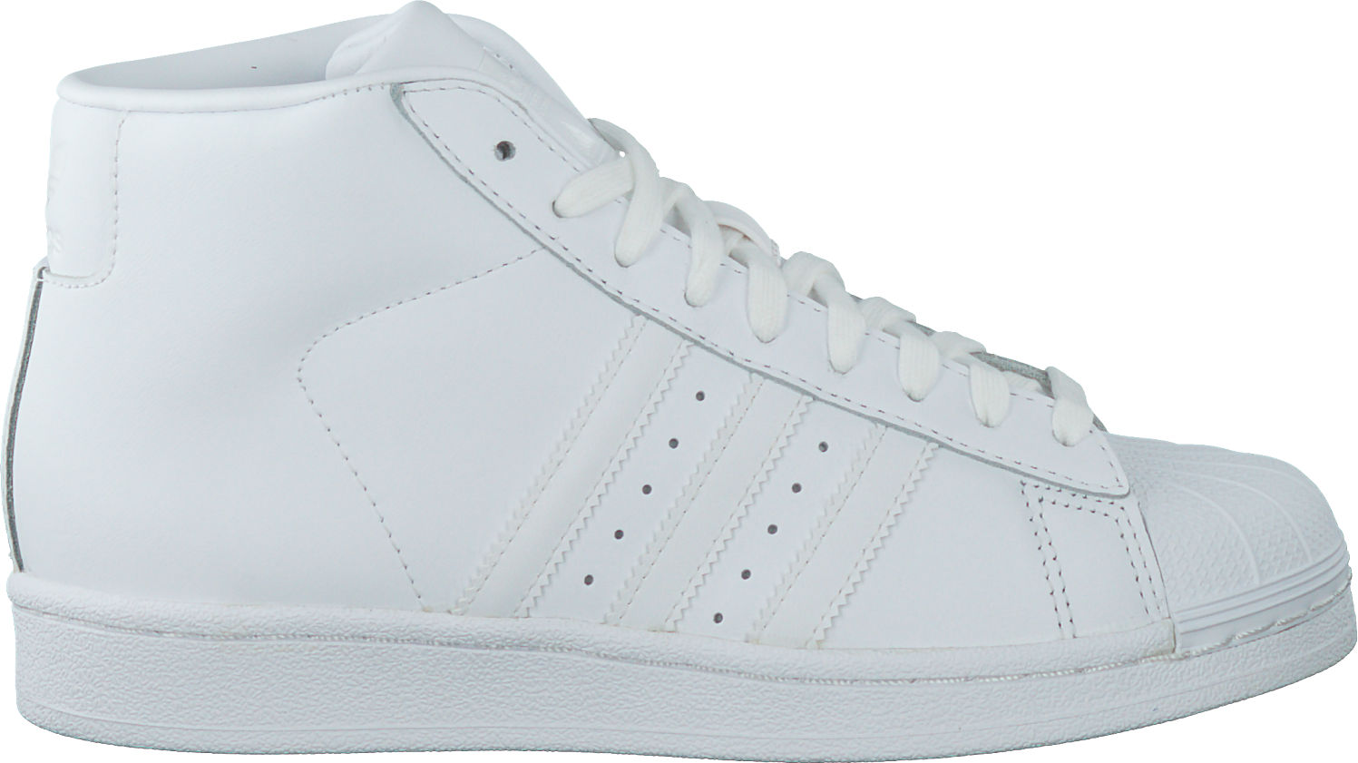 adidas pro model dames