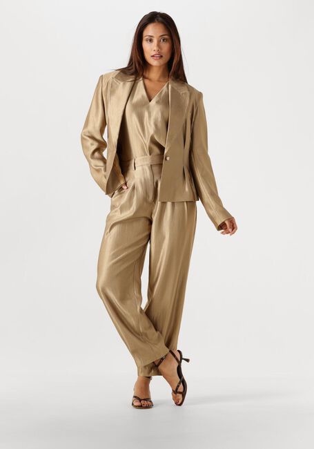 Gouden AAIKO Top MINNY SHIMMERY VIS 512 - large