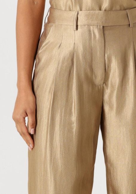 Gouden AAIKO Pantalon NATALYA VIS 512 - large