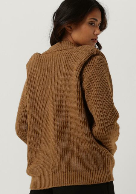 Bruine AMAYA AMSTERDAM Trui JORDAN KNITWEAR - large