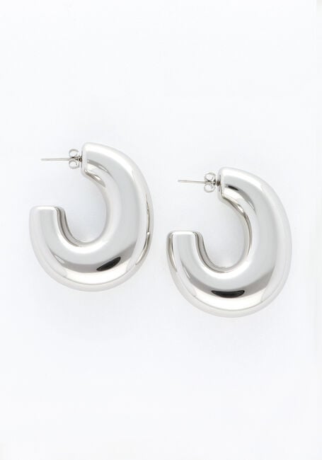 Zilverkleurig NOTRE-V Oorbellen EARRING BIG - large