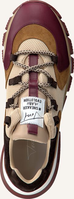 Beige TORAL Lage sneakers 11101 Beige TORAL Lage sneakers 11101 - large