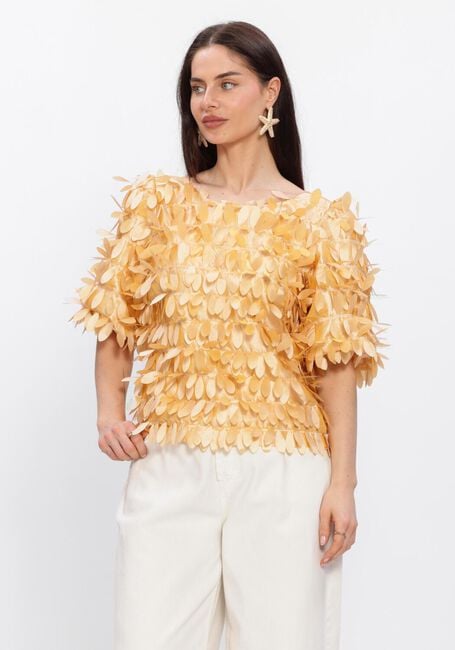 Gele AAIKO Blouses ANGELINA PES 526 - large