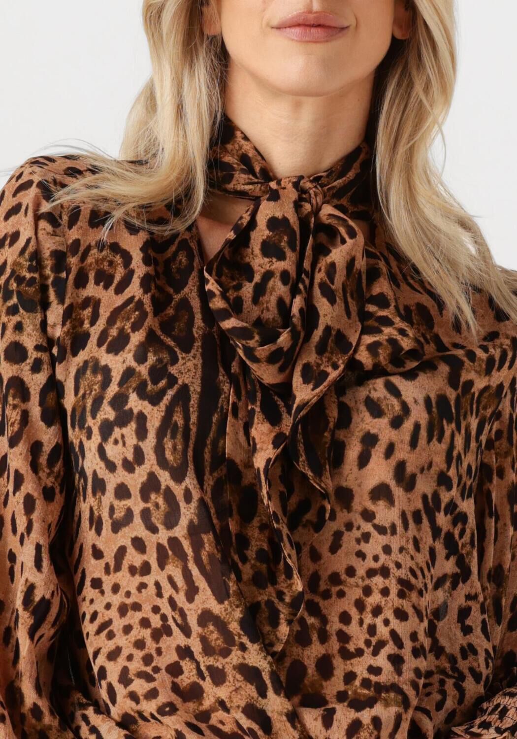 IBANA Dames Blouses Trixy Blouse Bruin