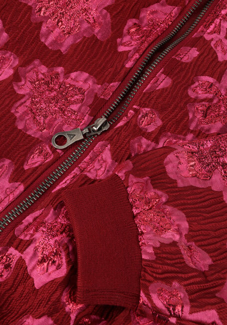 Roze AMMEHOELA Jack OLETTE Roze AMMEHOELA Jack OLETTE - large
