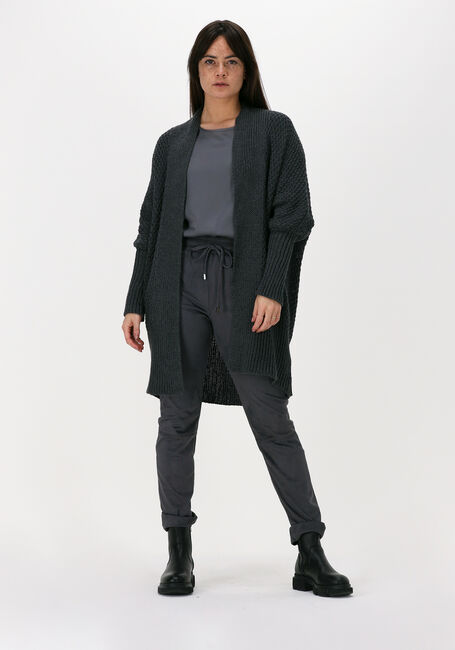 Grijze SIMPLE Vest ICE - large