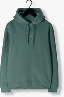 Groene PURE PATH Trui HOODIE WITH FRONT AND TRIANGLE BACK PRINT