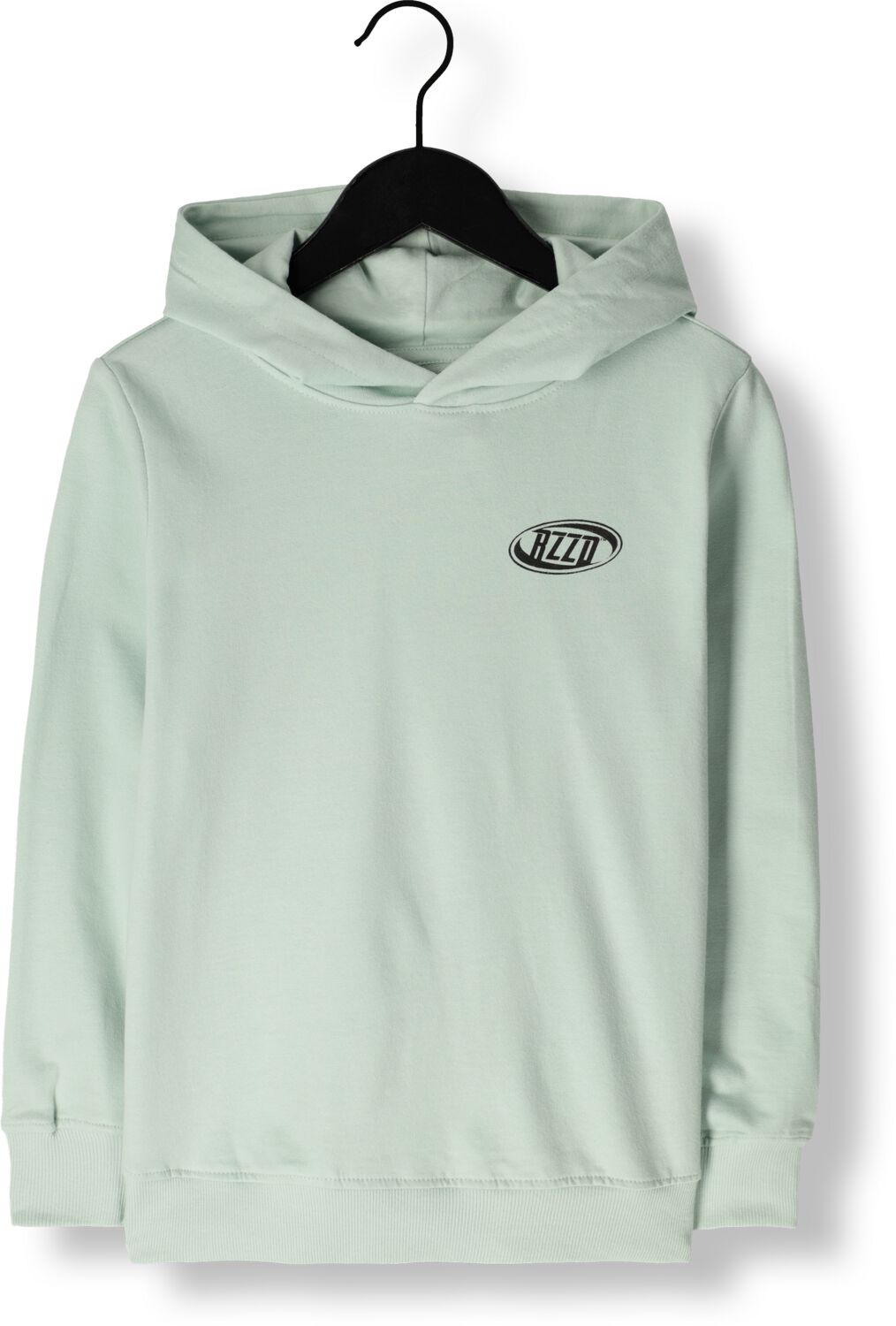 Raizzed hoodie Nezar met backprint zacht pistachegroen Sweater Backprint 140