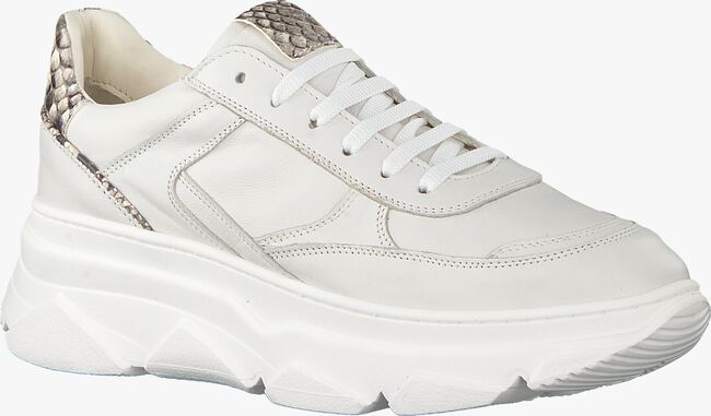 Witte NOTRE-V Lage sneakers 608 - large