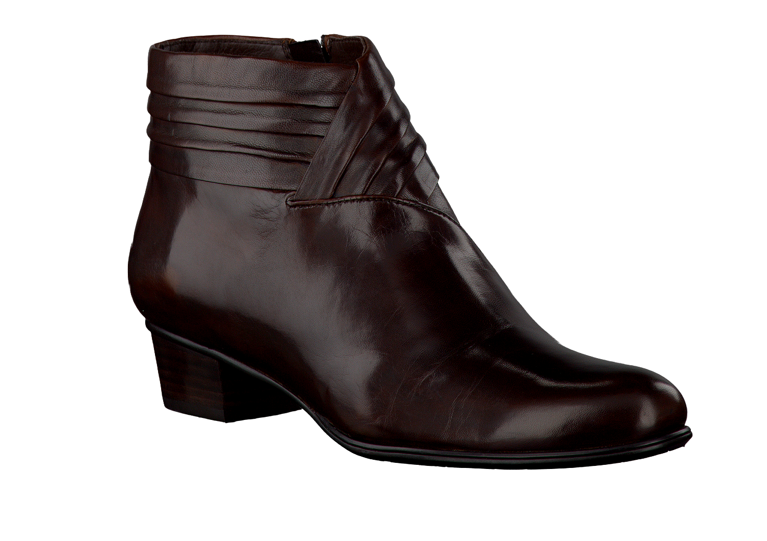 Bruine EVERYBODY Lange laarzen 49659 | Omoda Bruine EVERYBODY Lange laarzen 49659 | Omoda