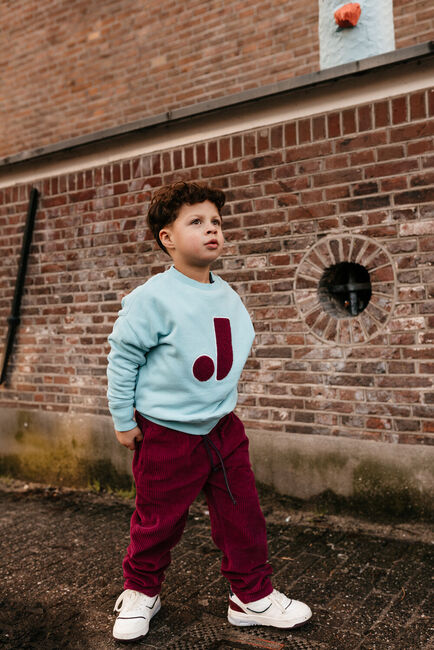 Bordeaux JENEST Broeken CAMMIE PANTS - large