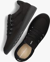 Zwarte FLORIS VAN BOMMEL Lage sneakers SFM-10164 - medium