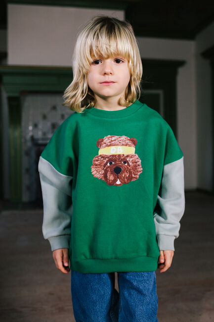 Groene DAILY BRAT Sweater FUZZY WUZZY SWEATER - large